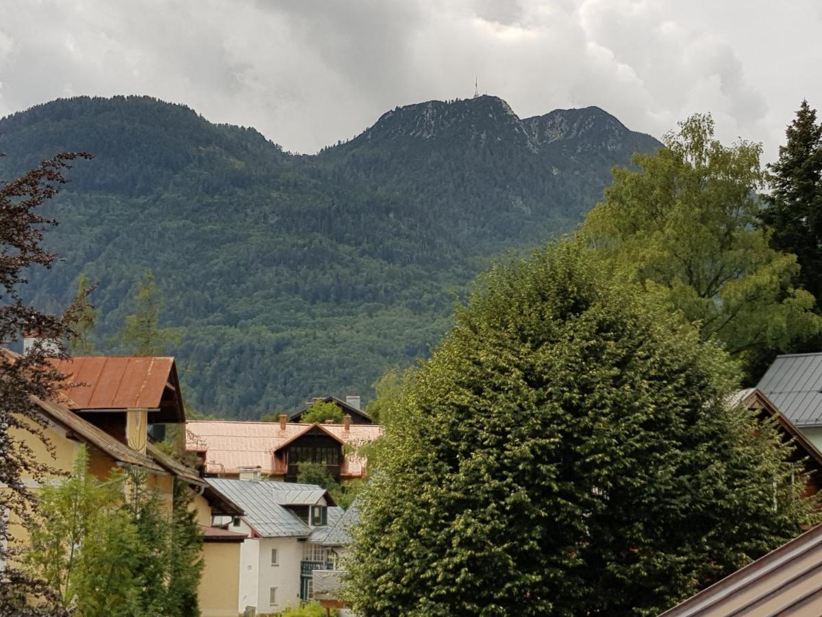 Villa Lilly - Luxus Appartements Im Villenviertel Bad Ischl Eksteriør billede